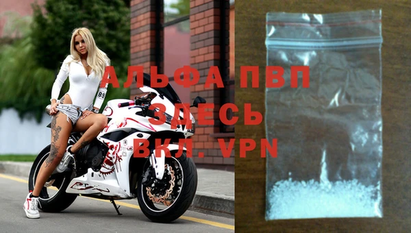mdpv Богданович